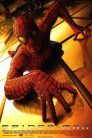 Imagen SpiderMan Película Completa HD 1080p [MEGA] [LATINO]