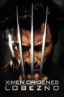Imagen X-Men Orígenes – Wolverine Película Completa HD 1080p [MEGA] [LATINO]